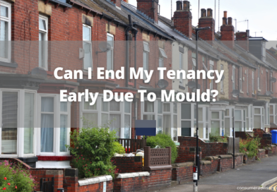 Can I End My Tenancy Early Due To Mould