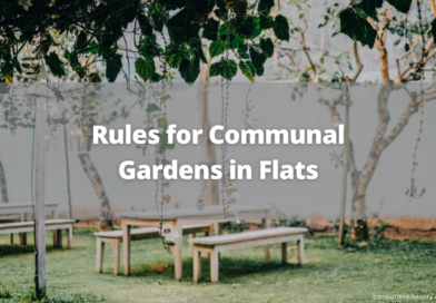 Rules for Communal Gardens in Flats