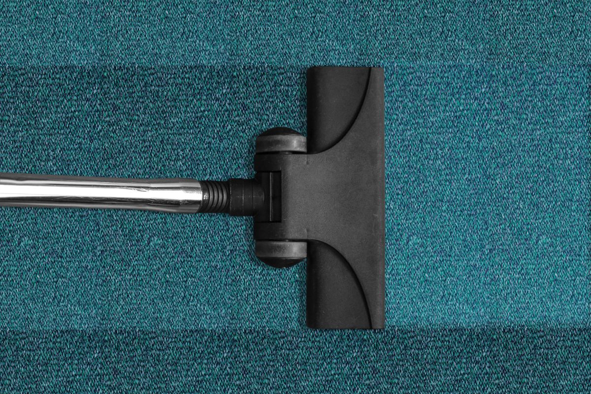 carpet cleaning companies